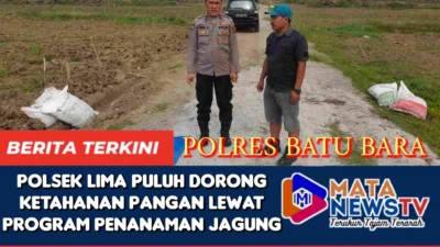 Polsek Lima Puluh Dorong Ketahanan Pangan Lewat Program Penanaman Jagung
