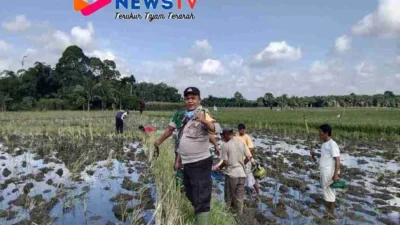 Dukung Ketahanan Pangan : Polsek Raya Kahean Ajak Warga Bah Tonang Basmi Hama Tikus