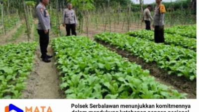 Gencarkan Program Ketahanan Pangan dengan Optimalisasi Lahan dan jadikan Pekarangan Bergizi