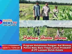 Program Ketahanan Pangan: Sat Binmas Polres Batu Bara Tinjau Lahan Produktif di PT Lonsum Dolok Estate