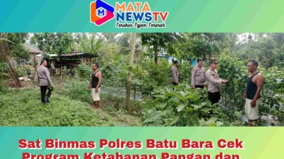 Sat Binmas Polres Batu Bara Dorong Ketahanan Pangan, Pekarangan Warga Disulap Jadi Lahan Produktif”