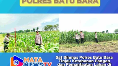 Sat Binmas Polres Batu Bara Tinjau Ketahanan Pangan dan Pemanfaatan Lahan di PT Lonsum Dolok Estate