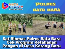 Sat Binmas Polres Batu Bara Cek Program Ketahanan Pangan di Desa Karang Baru