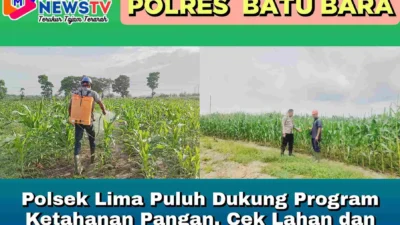 Polsek Lima Puluh Dukung Program Ketahanan Pangan, Cek Lahan dan Ajak Warga Budidaya Jagung