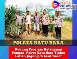Dukung Program Ketahanan Pangan, Polres Batu Bara Tinjau Lahan Jagung di Laut Tador