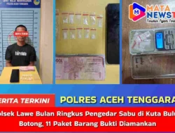 Polsek Lawe Bulan Ringkus Pengedar Sabu di Kuta Buluh Botong, 11 Paket Barang Bukti Diamankan