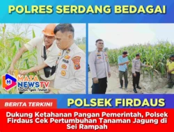 Dukung Ketahanan Pangan Pemerintah, Polsek Firdaus Cek Pertumbuhan Tanaman Jagung di Sei Rampah