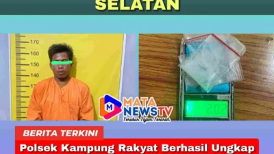 Polsek Kampung Rakyat Berhasil Ungkap Kasus Narkotika di Jalan Perkebunan PT. Tolan Tiga Indonesia