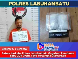 Satres Narkoba Polres Labuhanbatu Gagalkan Peredaran Sabu 204 Gram, Satu Tersangka Diamankan,