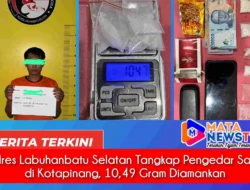 Polres Labuhanbatu Selatan Tangkap Pengedar Sabu di Kotapinang, 10,49 Gram Diamankan