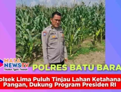 Polsek Lima Puluh Tinjau Lahan Ketahanan Pangan, Dukung Program Presiden RI