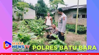 Polres Batu Bara Tinjau Program Ketahanan Pangan di Desa Karang Baru: Manfaatkan Pekarangan Jadi Lahan Bergizi