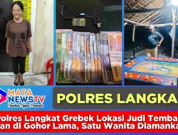 Polres Langkat Grebek Lokasi Judi Tembak Ikan di Gohor Lama, Satu Wanita Diamankan