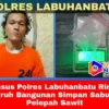 Teamsus Polres Labuhanbatu Ringkus Buruh Bangunan Simpan Sabu di Pelepah Sawit