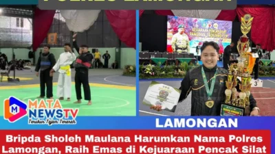 Bripda Sholeh Maulana Harumkan Nama Polres Lamongan, Raih Emas di Kejuaraan Pencak Silat Pangdivif 2 Cup 2025