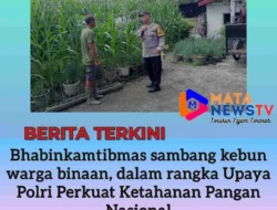 Bhabinkamtibmas sambang ke kebun warga binaan, dalam rangka Upaya Polri Perkuat Ketahanan Pangan Nasional