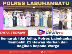 Semarak Idul Adha, Polres Labuhanbatu Sembelih 21 Hewan Kurban dan Bagikan kepada Warga