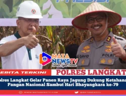 Polres Langkat Gelar Panen Raya Jagung Dukung Ketahanan Pangan Nasional Sambut Hari Bhayangkara ke-79