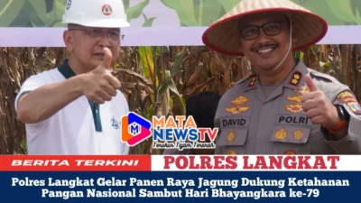 Polres Langkat Gelar Panen Raya Jagung Dukung Ketahanan Pangan Nasional Sambut Hari Bhayangkara ke-79