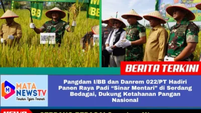 Pangdam I/BB dan Danrem 022/PT Hadiri Panen Raya Padi “Sinar Mentari” di Serdang Bedagai, Dukung Ketahanan Pangan Nasional