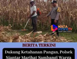 Dukung Ketahanan Pangan, Polsek Siantar Marihat Sambangi Warga Manfaatkan Ladang 