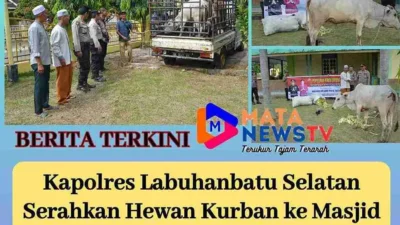Kapolres Labuhanbatu Selatan Serahkan Hewan Kurban ke Masjid Al Musthofa Kotapinang, Bentuk Kepedulian Sosial Polri