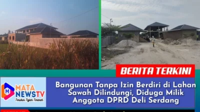 Bangunan Tanpa Izin Berdiri di Lahan Sawah Dilindungi, Diduga Milik Anggota DPRD Deli Serdang