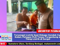 Tersengat Listrik Saat Diduga Hendak Curi Kabel, Petugas PLN Tewas Tergantung di Tiang Listrik di Sergai