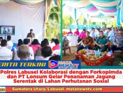 Polres Labusel Kolaborasi dengan Forkopimda dan PT Lonsum Gelar Penanaman Jagung Serentak di Lahan Perhutanan Sosial