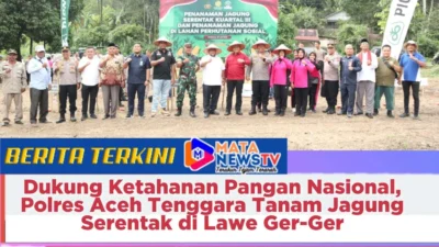 Dukung Ketahanan Pangan Nasional, Polres Aceh Tenggara Tanam Jagung Serentak di Lawe Ger-Ger