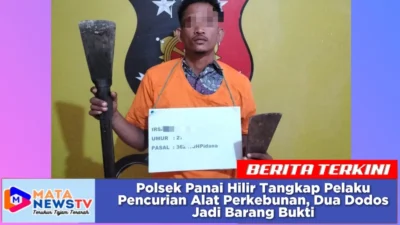 Polsek Panai Hilir Tangkap Pelaku Pencurian Alat Perkebunan, Dua Dodos Jadi Barang Bukti