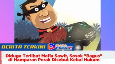 Diduga Terlibat Mafia Sawit, Sosok “Bagus” di Hamparan Perak Disebut Kebal Hukum