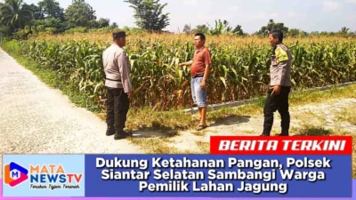 Dukung Ketahanan Pangan, Polsek Siantar Selatan Sambangi Warga Pemilik Lahan Jagung