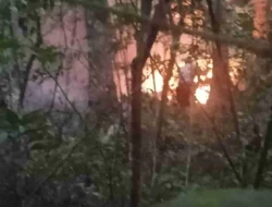 Reaksi Cepat Polres Simalungun Padamkan Kebakaran Hutan Sibaganding