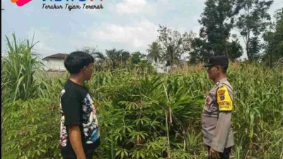 Polsek Siantar Utara Sambangi Warga Manfaatkan Lahan Tanam Jagung