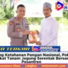 Dukung Ketahanan Pangan Nasional, Polres Langkat Tanam Jagung Serentak Bersama Pesantren