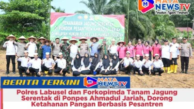 Polres Labusel dan Forkopimda Tanam Jagung Serentak di Ponpes Ahmadul Jariah, Dorong Ketahanan Pangan Berbasis Pesantren