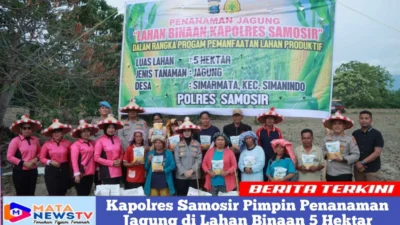 Kapolres Samosir Pimpin Penanaman Jagung di Lahan Binaan 5 Hektar
