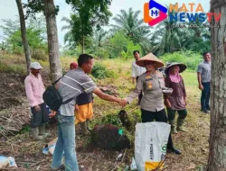 Polres Pematangsiantar Gelar Penanaman Jagung di Lahan Binaan