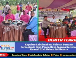 Kapolres Labuhanbatu Selatan Bersama Forkopimda Ikuti Panen Raya Jagung Serentak Kuartal III di Kebun Sei Kebara