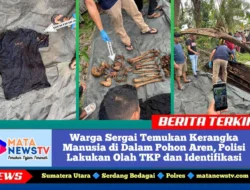 Warga Sergai Temukan Kerangka Manusia di Dalam Pohon Aren, Polisi Lakukan Olah TKP dan Identifikasi