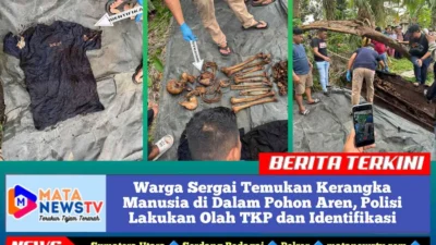 Warga Sergai Temukan Kerangka Manusia di Dalam Pohon Aren, Polisi Lakukan Olah TKP dan Identifikasi