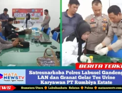 Satresnarkoba Polres Labusel Gandeng LAN dan Granat Gelar Tes Urine Karyawan PT Rumbiya Estate