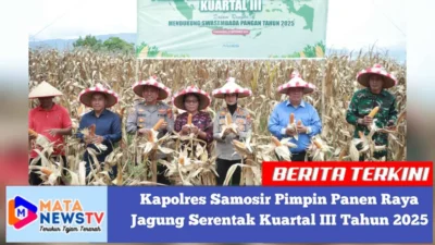 Panen Raya Jagung dan Gerakan Pangan Murah Polri di Samosir