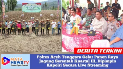 Polres Aceh Tenggara Gelar Panen Raya Jagung Serentak Kuartal III, Dipimpin Kapolri Secara Live Streaming