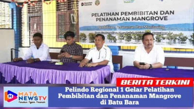 Pelindo Regional 1 Gelar Pelatihan Pembibitan dan Penanaman Mangrove di Batu Bara