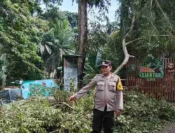 Pasca Pohon Tumbang Akibat Angin Kencang,Polsek Siantar Barat Sampaikan Himbauan Kamtibmas