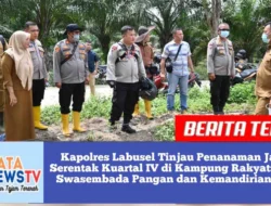 Kapolres Labusel Tinjau Penanaman Jagung Serentak Kuartal IV di Kampung Rakyat: Dorong Swasembada Pangan dan Kemandirian Petani