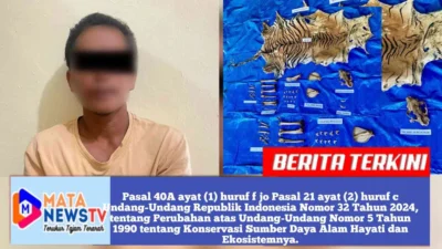 Polisi Tangkap Pelaku Perdagangan Satwa Dilindungi di Nagan Raya