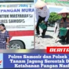 Polres Samosir dan Polsek Jajaran Tanam Jagung Serentak Dukung Ketahanan Pangan Nasional